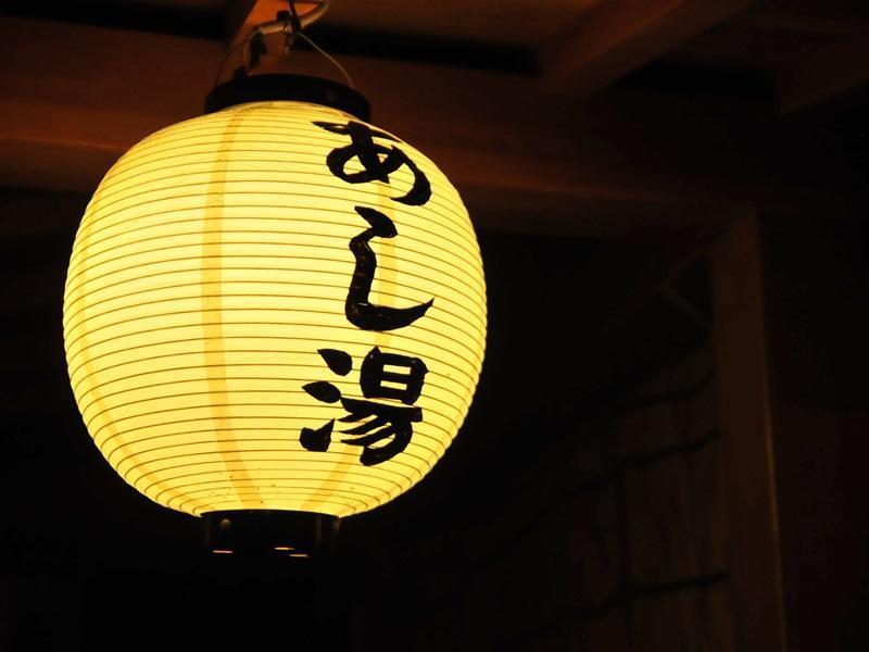 Suminoyu Ryokan Yamanouchi (Nagano)